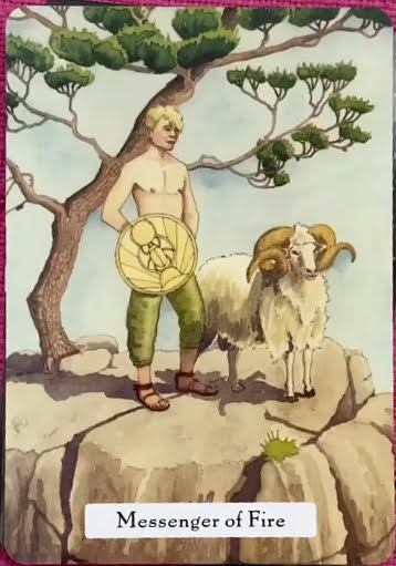 The Witches Wisdom Tarot